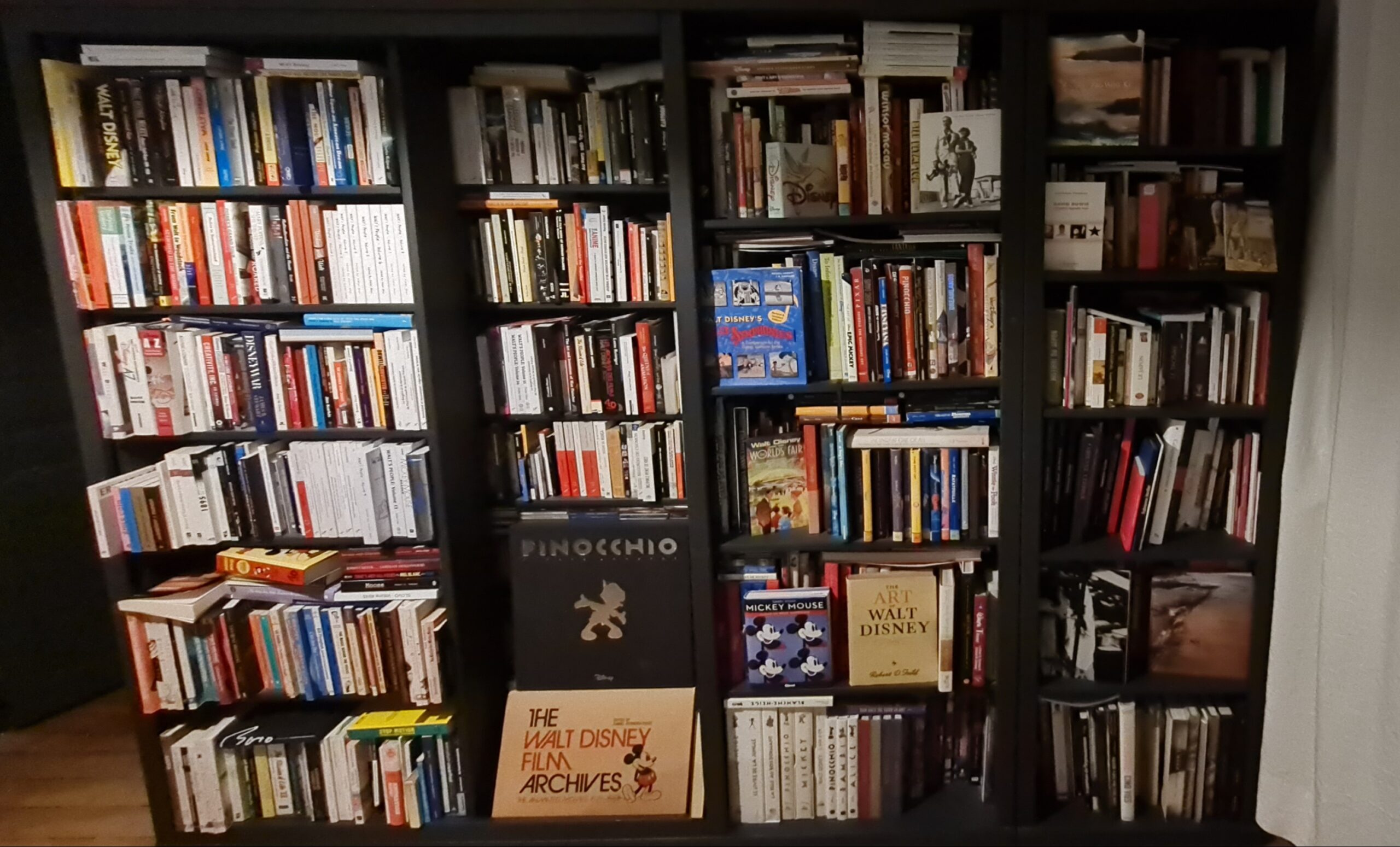 Bibliothèque (fonds partiel) de Sébastien chez lui avant le transfert